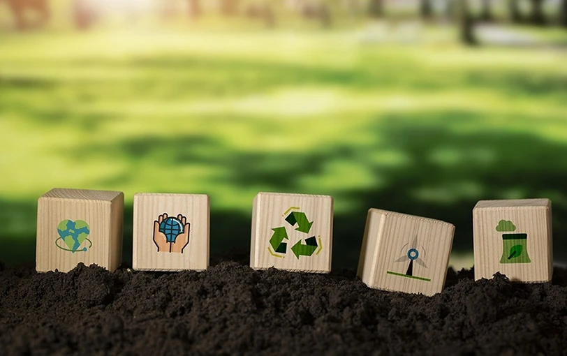 Çevre Dostu Malzeme Kullanımı Yapı Sektörünü Nasıl Değiştiriyor?