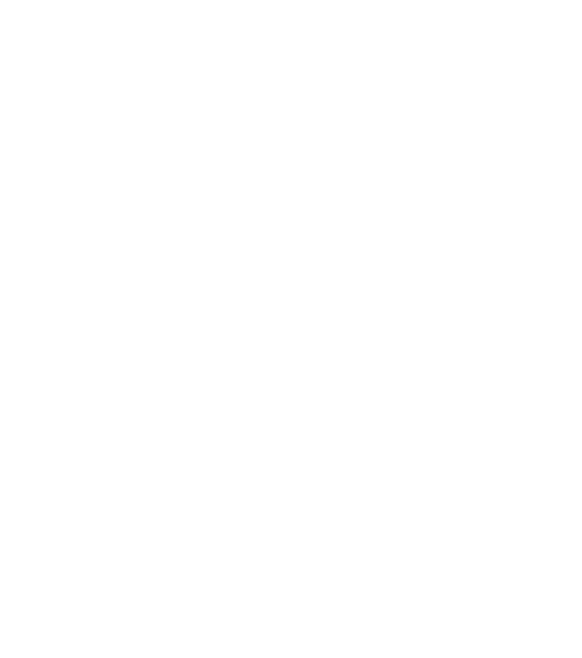 ALGÜN MODERN