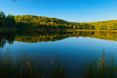 Korugöl: Düzce’nin Sakin Doğa Köşesi