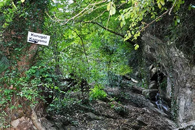 Düzce Kanyonları: Macera ve Doğanın Buluştuğu Noktalar