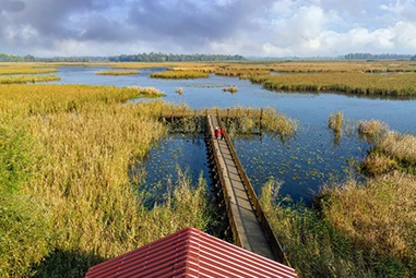 Düzce Gölleri: Doğanın Huzur Dolu Yansımaları